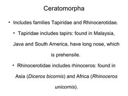 Evolutionary History of Horses | PDF | Horses | Mammals