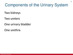 © 2019 McGraw-Hill Education
5
Components of the Urinary System
Two kidneys
Two ureters
One urinary bladder
One urethra
