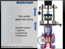 Trevi Testing for Safety Valves | PDF | Valve | Leak
