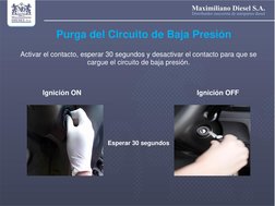 Purga del Circuito de Baja Presión  
 
Activar el contacto, esperar 30 segundos y desactivar el contacto para que se 
cargue