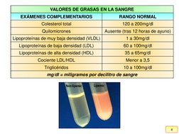 4
VALORES DE GRASAS EN LA SANGRE
EXÁMENES COMPLEMENTARIOS
RANGO NORMAL
Colesterol total
120 a 200mg/dl
Quilomicrones
Ausente