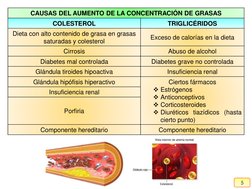 5
CAUSAS DEL AUMENTO DE LA CONCENTRACIÓN DE GRASAS
COLESTEROL
TRIGLICÉRIDOS
Dieta con alto contenido de grasa en grasas 
satu