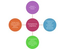 Competencia 
Lingüística 
Adquirir y 
desarrollar un 
lenguaje 
El lenguaje: es un 
sistema de 
símbolos 
articulados que 
pe