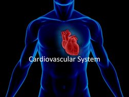 Cardiovascular System 
