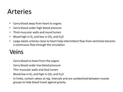 Arteries 
•
Carry blood away from heart to organs 
•
Carry blood under high blood pressure 
•
Thick muscular walls and round