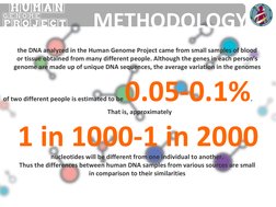 HUMAN
PROJECT
GENOME
METHODOLOGY
the DNA analyzed in the Human Genome Project came from small samples of blood 
or tissue
