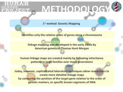 HUMAN
PROJECT
GENOME
1st method: Genetic Mapping 
identifies only the relative order of genes along a chromosome 
linkage