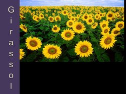 Ana Júlia Ribeiro dos Santos 
7º período/Agronomia 
Disciplina: Bioenergia  
Professor: Cláudio Souza de Azevedo 
