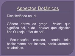 - Dicotiledônea anual 
 
- Gênero deriva do grego  helios, que 
significa sol, e de  anthus, que significa 
flor. Ou seja : "