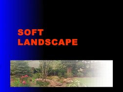 SOFT 
LANDSCAPE
