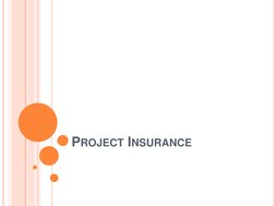 PROJECT INSURANCE 
