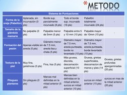 *METODO
Sistema de Puntuaciones 
Forma de la 
oreja (Pabellón) 
Aplanada, sin 
incurvación (0 
pts) 
Borde sup. 
parcialmente