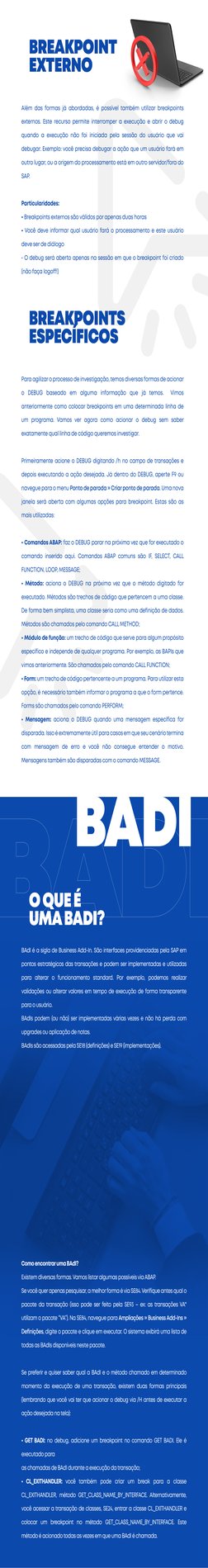 Além das formas já abordadas, é possível também utilizar breakpoints 
externos. Este recurso permite interromper a execução e