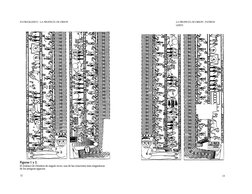 PATRICKGERYL • LA PROFECÍA DE ORION
LA PROFECÍA DE ORION • PATRICK 
GERYL
Figuras 1 y 2.
El Zodíaco de Dendera de ángulo rect