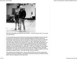 MFT with Robert Maillet who played the Uber Immortal ... he and his wife live with 7 or 8 rescued
racing greyhounds
To ensure