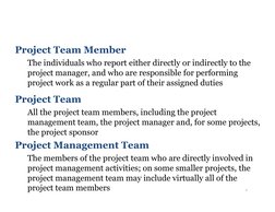 Project Team Member
The individuals who report either directly or indirectly to the 
project manager, and who are responsible