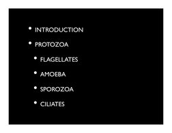 • INTRODUCTION	

• PROTOZOA	

• FLAGELLATES	

• AMOEBA	

• SPOROZOA	

• CILIATES	

