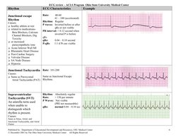 ECG Interpretation for ACLS Training | PDF | Electrocardiography ...