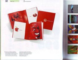 What Is Color? 
1 
Rather than a traditional capabilities 
brochure showcasing high-profile client 
work, the designers creat