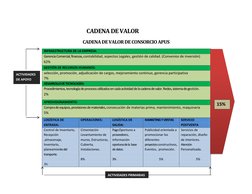 CADENA DE VALOR 
CADENA DE VALOR DE CONSORCIO APUS 
INFRAESTRUCTURA DE