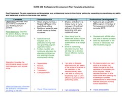 NURS 258  Professional Development Plan Template & Guidelines
Goal Statement: To gain experience and knowledge as a professio