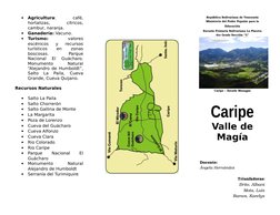 
Agricultura:
 
café,
hortalizas,
 
cítricos,
cambur, naranja.

Ganadería: Vacuno.

Turismo: 
valores
escénicos  y  recurs