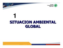 1
SITUACION AMBIENTAL 
GLOBAL
SITUACION AMBIENTAL 
GLOBAL
