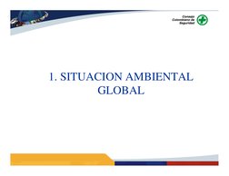 1. SITUACION AMBIENTAL 
GLOBAL
