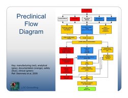 LCC Consulting
8
Preclinical 
Flow 
Diagram
Key: manufacturing (red), analytical 
(grey), documentation (orange), safety 
(bl
