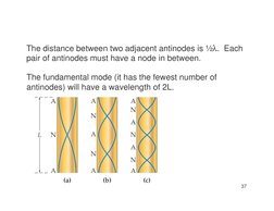 37
The distance between two adjacent antinodes is ½λ.  Each 
pair of antinodes must have a node in between.
The fundamental m