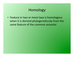 Homology	  
• Feature	  in	  two	  or	  more	  taxa	  is	  homologous	  
when	  it	  is	  derived	  phylogene3cc