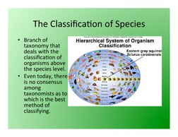 The	  Classiﬁca3on	  of	  Species	  
• Branch	  of	  
taxonomy	  that	  
deals	  with	  the	  
classiﬁca3on	  of
