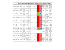 ANEXO P-601 MATRIZ DE IDENTIFICACIÓN DE PELIGROS, EVALUACIÓN DE RIESGOS Y DEFINICIÓN DE CONTROLES 
EN S&SO
Normal
1
4
500
200