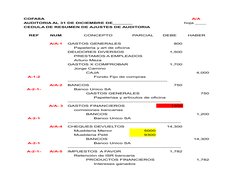 COFASA
A/A 
AUDITORIA AL 31 DE DICIEMBRE DE_______
hoja ____
CEDULA DE RESUMEN DE AJUSTES DE AUDITORIA
REF
NUM
CONCEPTO
PARCI