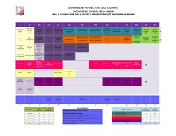 UNIVERSIDAD PRIVADA SAN JUAN BAUTISTA 
FACULTAD DE CIENCIAS DE LA SALUD 
MALLA CURRICULAR DE LA ESCUELA PROFESIONAL DE MEDICI