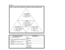 Appendix F
(PRIVATE SECTOR) INTEGRATIVE MODEL OF HR COMPETENCIES
Emerging Structure
Competency
1) Corporate HR leaders
Core
