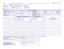 CPR Documentation Flow Sheet | PDF | Cardiopulmonary Resuscitation ...