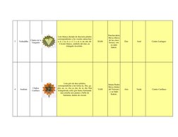 5
Vishuddha
HAM
Éter
Azul
Centro Laríngeo 
4
Anahata
YAM
Aire
Verde
Centro Cardíaco
Chakra de la 
Garganta
Loto blanco-dorado