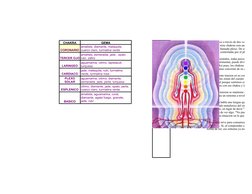CHAKRA
GEMA
CORONARIO
TERCER OJO
LARINGEO
CARDIACO
ESPLENICO
BASICO
cuerpo fisico a través de dos vehiculo
uno de los siete c