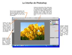Ventana de documentos. Esta ventana apa-
rece cuando abrimos una imagen o creamos 
un documento nuevo. Llamada normalmen-
te,
