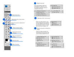 1 
2 
3 
4 
Grupo de selección. 
Grupo para cortar y crear sectores. 
Grupo de corrección o edición de la 
imagen. 
Grupo de