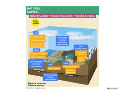 Fig. 1-3, p. 8 
Air 
Air purification 
Climate control 
Water 
Water purification 
Waste treatment 
Nonrenewable 
minerals 
i