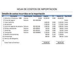HOJA DE COSTOS DE IMPORTACION 
