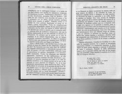 coincidencia con ]a embriaguez terrenal. A la vuelta de
esa dual rebusca eran muchas las semejanzas recíprocas,
las semejanza