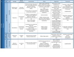 IR 
 
VCM 
HCM 
Patología 
Edad de 
presentación 
Características 
Clínica 
Diagnóstico 
Tratamiento 
Índice <2.5 
Morfología
