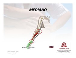MEDIANO
MEDIANO
María Constanza Trillos 
Terapeuta Manual
