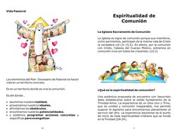 Vida Pastoral
Los elementos del Plan  Diocesano de Pastoral se hacen 
vida en un territorio concreto.
Es en un territorio don