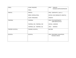 PINEAL
 BULBO  RAQUIDEO
PINEAL
VIRUS       PARALISIS
                  BLOQUEO CENTRO RESPIRACION   
PARIETAL
PARIETAL
RIÑON