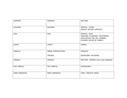 PARPADO
PARPADO
BACTERIA
QUIASMA
QUIASMA
ESPECIAL   LUCINA
REGULA  SISTEMA  LINFATICO
SIEN
SIEN
ESPECIAL   ISAAC
ENFISEMA  PU
