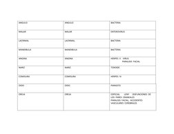 ANGULO
ANGULO
BACTERIA
MALAR
MALAR
ENTEROVIRUS
LACRIMAL
LACRIMAL
BACTERIA
MANDIBULA
MANDIBULA
BACTERIA
ANGINA
ANGINA
HERPES